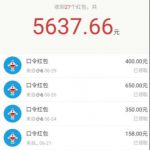 圣矾价值1200元付费担保项目：QQ挂机被动引流变现赚钱