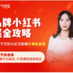 品牌小红书掘金攻略，年销千万的小红书品牌打爆款指南