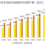 蓝海项目拼多多视频带货课，2022年入百万新风口【视频教程+软件】
