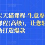 樊剑淘宝天猫课程-生意参谋数据分析系列课程(高级)，让您轻松运营店铺，帮助打造爆款